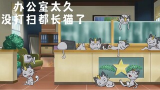 Pokémon丨The office hasn’t been cleaned for so long that cats have grown up!!