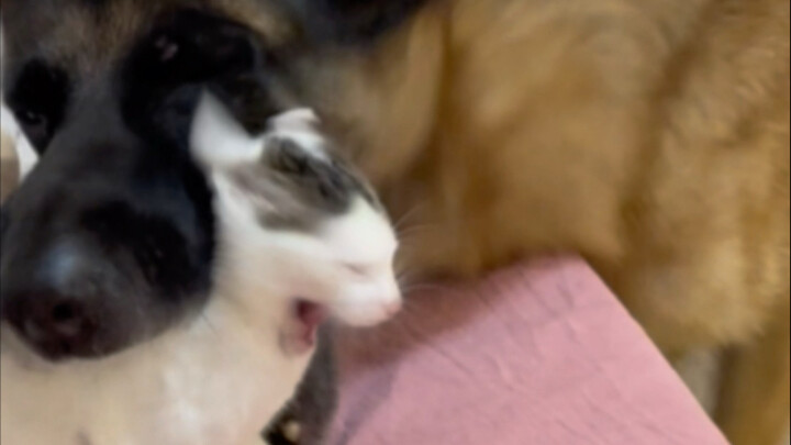 Cat: I was terrified.