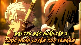 Demon Slayer Season 4 | Đại Trụ Đặc Huấn Tập 3 - Cuộc Huấn Luyện Của Âm Trụ Tengen