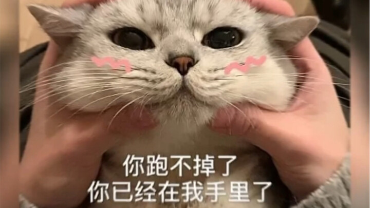 Tak perlu lagi takut pada makcomblang yang mengenalkan orang-orang aneh!