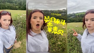 人与羊表贝的塑料情谊