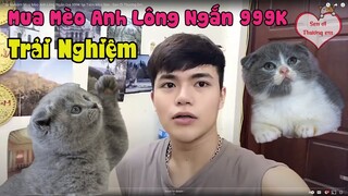 Trải Nghiệm Mua Mèo Anh Lông Ngắn Giá 999K tại Tiệm Mèo Sen - Sen Ơi Thương Em