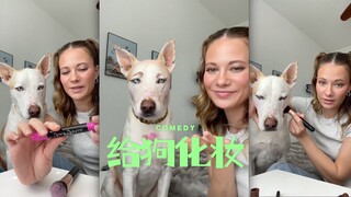 「给狗化妆」全程生无可恋只想快点结束营业的狗‼️