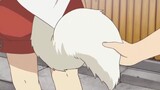 Anime|Recommends|Would normal people have tails?