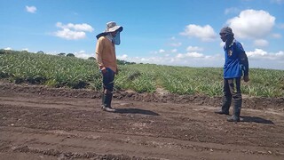 labanan Ng malalakas