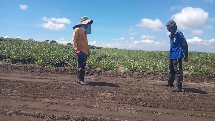 labanan Ng malalakas