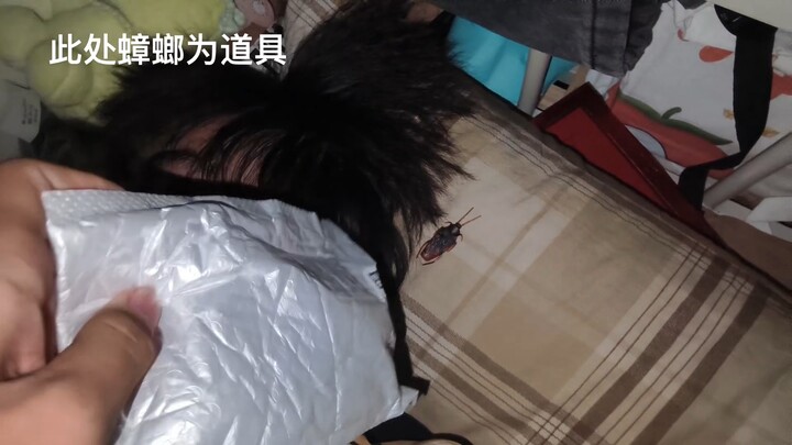 哔哩哔哩依旧忘发