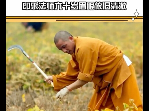 Sang Bhiksu Yinle, di usia enam puluh tahun, masih memiliki tatapan yang jernih dan bersih. “Shi Yin