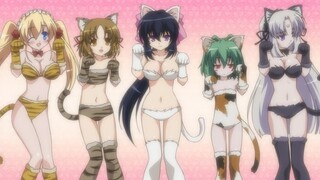 →_→Those cute cat girls