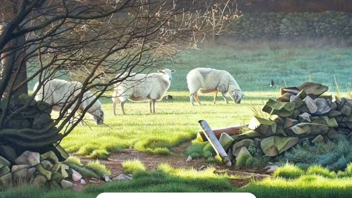 (Reflection) Tuesday, December 09, 2025 Tuesday of the Second Week of Advent #faith #reflection #adv