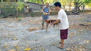 spar muna ng mga alaga