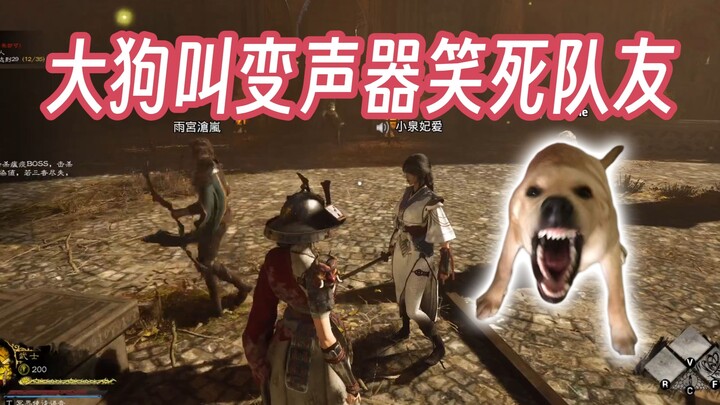 When I used a big dog bark voice changer to prank my teammates [Feiyue Kill]
