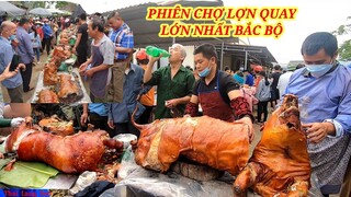 Say Mê Khi Bạn Đến CHỢ LỢN QUAY LỚN NHẤT VINH BẮC BỘ Chỉ Xem Cũng Thèm Nhỏ Dãi TLS