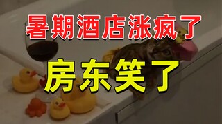 【JUMP】暑期酒店价格涨疯了，房东笑了