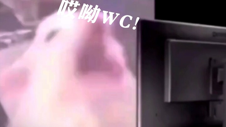 Does this sound like you—waking up in the middle of the night to play Genshin Impact but forgetting 