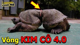 ⚡ 7 Lần Động Vật Bị Mắc Kẹt Bởi Lỗi Ngớ Ngẩn Của Con Người | Khoa Học Khám Phá