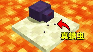 Real Endermite