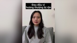 Bạn trị rận cho mèo nhà bạn bằng cách nào ???  mèocute LearnOnTikTok tiktok meow meomeo cat mèo dcgr meohay