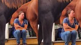 Chú ngựa an ủi cô chủ đang khóc
