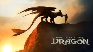 How to Train Your Dragon (Movie) BHS