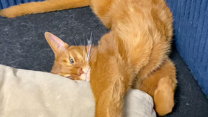 Out of 24 hours in a day, my military brother spends 23 hours in a dazed state!