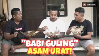 BABI GULING ASAM URAT