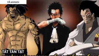 Tất tần tật về Monkey D. Dragon , nhân vật nguy hiểm nhất thế giới _ Giả Thuyết