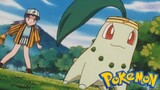 Pokémon Tập 120: Chicorita Của Rookie! (Lồng Tiếng)