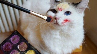 Cat does makeup inspired by Mulan—its skills are so lousy that the little cat gets so mad it bites t