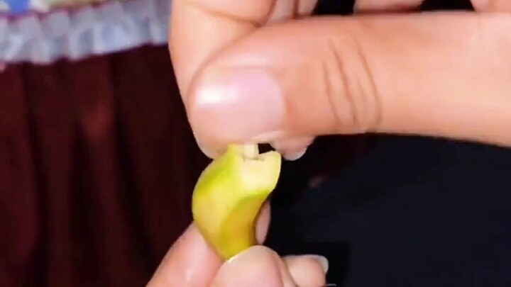 Incredibly tiny! Have you ever seen these world’s smallest wonders?