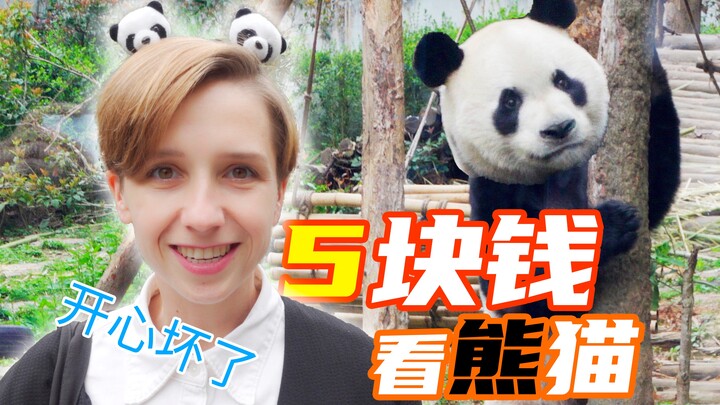 Ở Trung Quốc chỉ 5 tệ là được xem gấu trúc? Cô gái Đức nhìn mà ghen tị đến phát khóc!