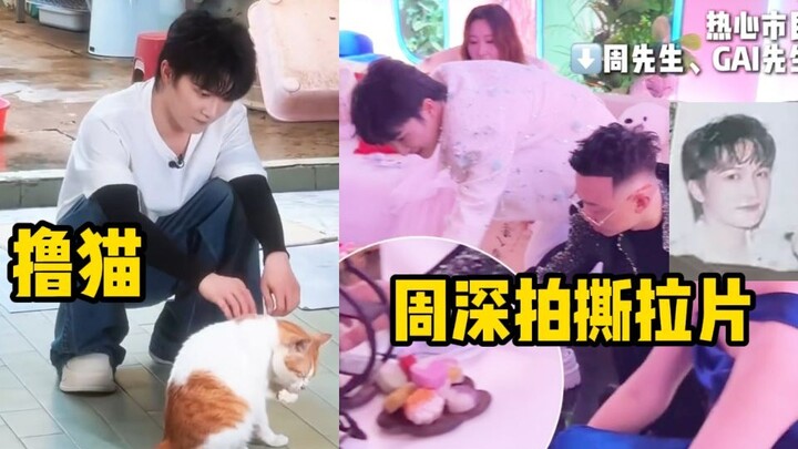 周深去猫乐园rua小猫啊！原来深深拍了撕拉片！和GAI化身热心市民收拾桌子！小朋友喊周深宝贝还搂脖子抱抱！周深吓的躲在弟弟身后！跑男路透