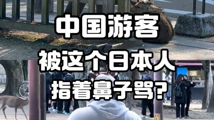 Chinese tourists allegedly got verbally abused by Japanese people?