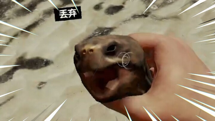 السلحفاة: مهلاً! هل من الضروري أن تكون ألعاب الواقع الافتراضي شديدة الجنون إلى هذا الحد؟؟