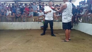 SBR x Rounhead win at ppc..Mt.Banahaw lines