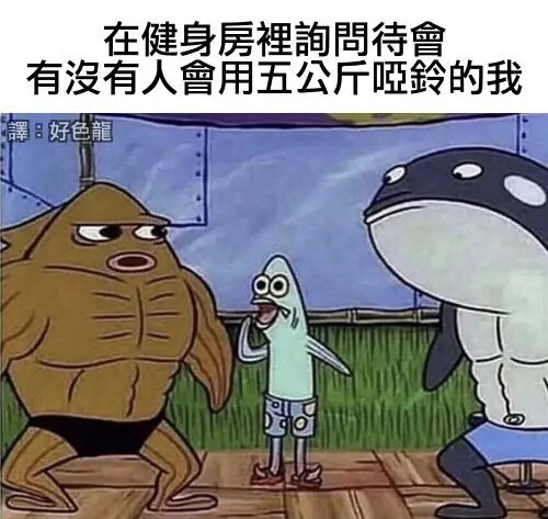 海绵宝宝meme梗图