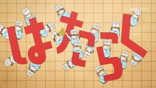 Opening Cells At Work! (Hataraku Saibou) NET TV