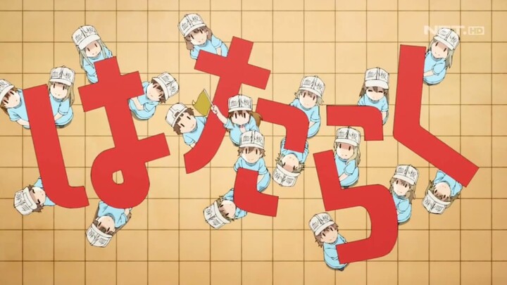 Opening Cells At Work! (Hataraku Saibou) NET TV