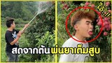 สดจากต้น มันพ่นน้ำยาเต็มที่เล๊ย !! #รวมคลิปฮาพากย์ไทย