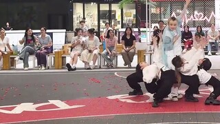 11 people cheered for Kwon Soonyoung's birthday and recreated Tiger 1:1｜Please recommend this video 