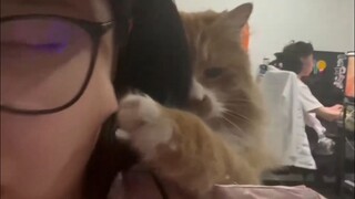我要碎掉了