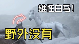 荒野大镖客2中你不知道还有一匹雄性纯白马匹