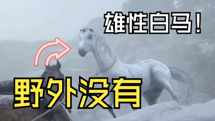 In Red Dead Redemption 2, did you know there's also a male all-white horse?