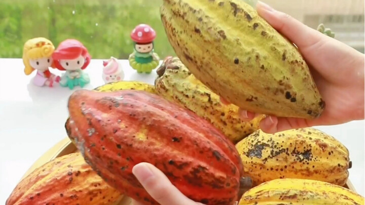 Làm sô cô la tự làm từ hạt ca cao thì thế nào?! Tôi và bạn thân đã dành vài ngày để làm món này và t