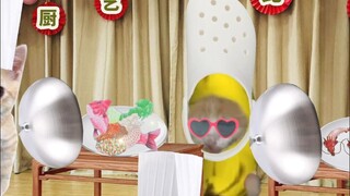 Kucing Pisang Mengikuti Kompetisi Memasak besar-besaran