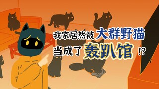 我家居然被大群野猫当成了轰趴馆！？【当代妖怪笔记4~6】