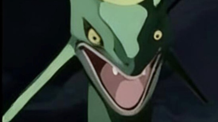 Nếu không biết bay, hãy làm hòa với cá đầu to