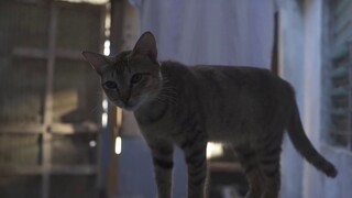 Welcome to my travel house vlog! (6days quarantine result)