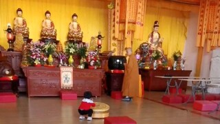 ชีวิตประจำวันของ คิกิ เด็กหญิงตัวน้อยที่ถูกทิ้งไว้ในวัดเพื่อบูชาพระพุทธเจ้า