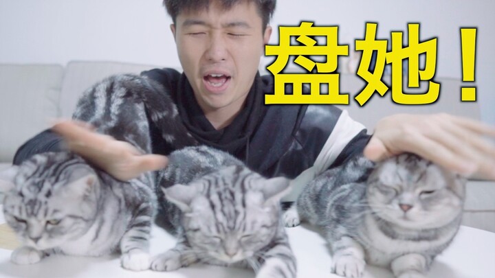 Ahli tingkat 10 dalam memanjangkan bulu kucing hadir untuk mengajarimu cara membuat bulu kucing jadi